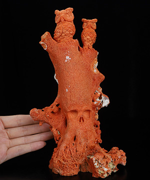 8.9" Red Coral Hand Carved Crystal Owls and Skull Sculpture, Crystal Healing