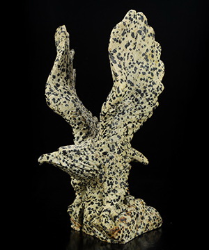 8.5" Dalmatine Hand Carved Crystal Eagle Sculpture, Crystal Healing