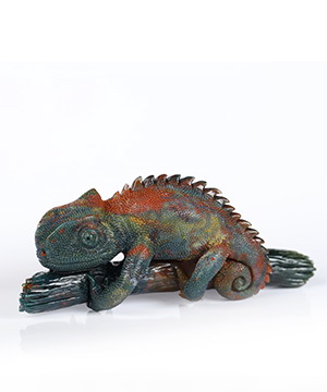 3.5" Bloodstone Hand Carved Crystal Lizard Sculpture, Crystal Healing